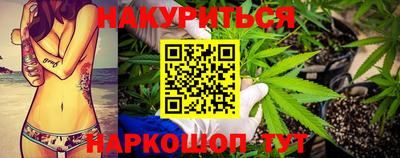 СК Бийск