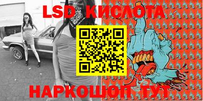 СК Бийск