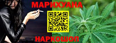 СК Бийск
