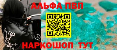 СК Бийск